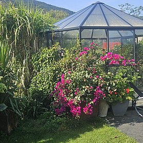 Gartenansicht224