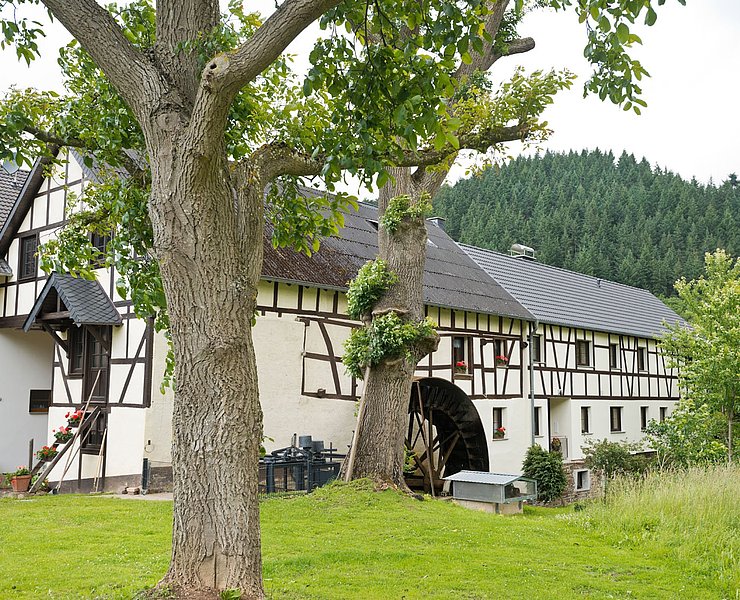 Hahnensteiner Mühle bei Insul