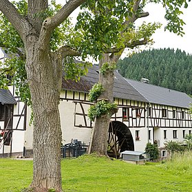 Hahnensteiner Mühle bei Insul