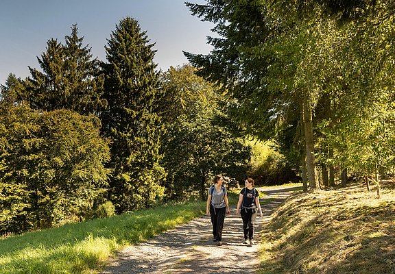 Hocheifel-Panorama-Weg Insul-Winnerath