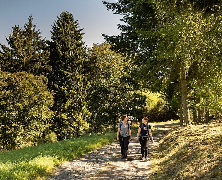 Hocheifel-Panorama-Weg Insul-Winnerath