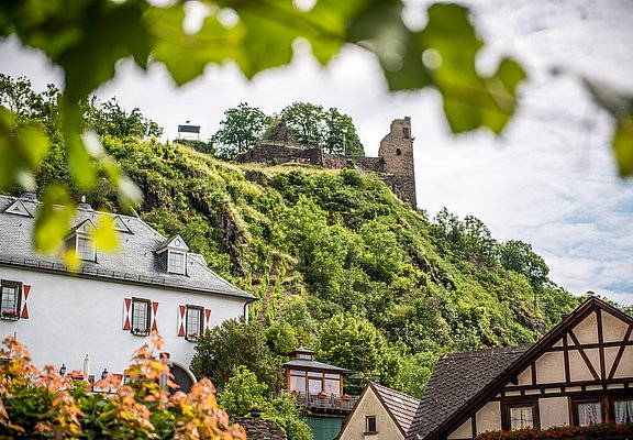 Blick auf die Burg Are