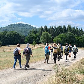 Wanderer der Wohllebens Waldakademie
