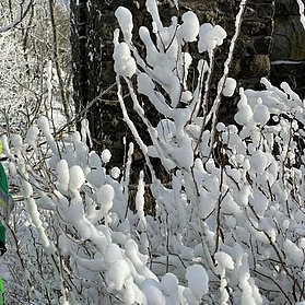 Schneezauber Hohe Acht