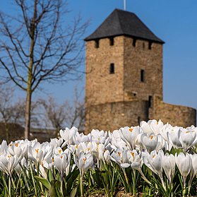 Natur & Stadt