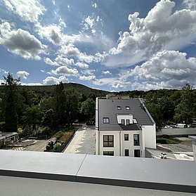 IMG_0133
