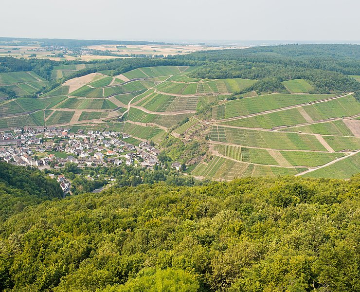 Krausberg, Ahrtal, Wandern, Dernau