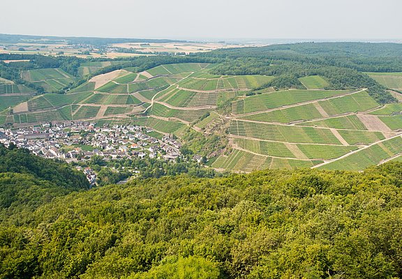 Krausberg, Ahrtal, Wandern, Dernau