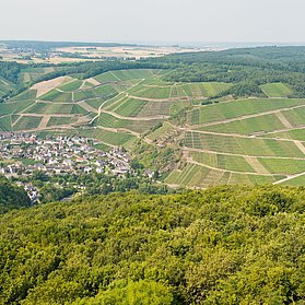 Krausberg, Ahrtal, Wandern, Dernau