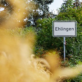 Ahr-Radweg in Ehlingen