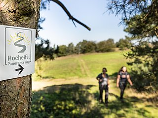Hocheifel-Panorama-Weg_Hürstnück