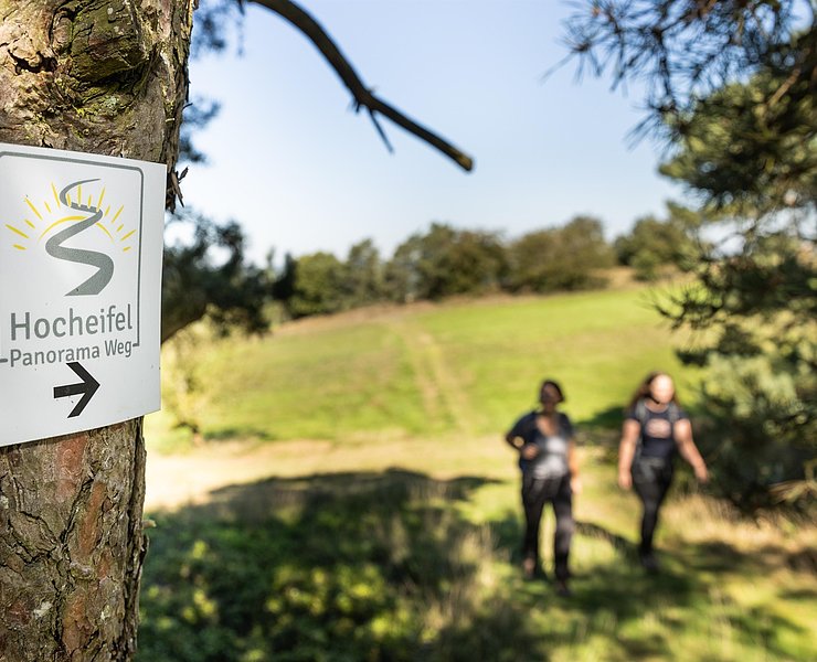 Hocheifel-Panorama-Weg_Hürstnück