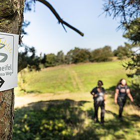 Hocheifel-Panorama-Weg_Hürstnück