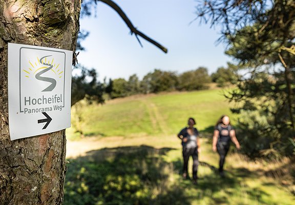 Hocheifel-Panorama-Weg_Hürstnück