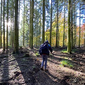 Abstecher zum Goethestein: der Weg ist nicht leicht zu finden.