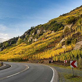 Natur & Stadt