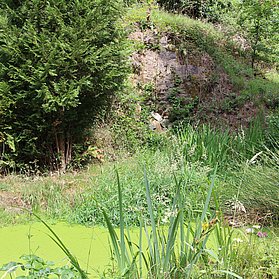 Teich mit Wasserfall