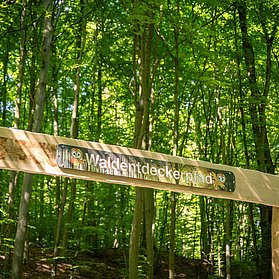 Waldentdeckerpfad Bad Neuenahr-Ahrweiler