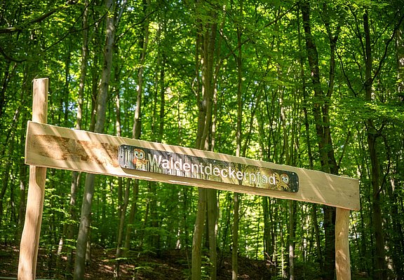 Waldentdeckerpfad Bad Neuenahr-Ahrweiler