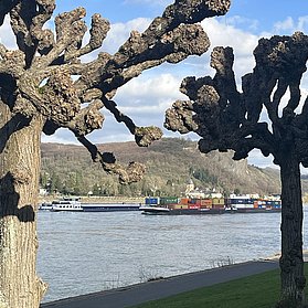 IMG_2511
