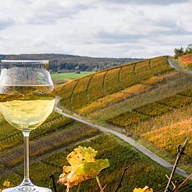 Natur & Stadt