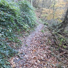 Jägerpfad Abschnitt AhrSteig