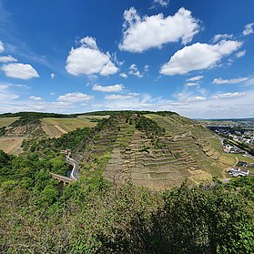 Katzley, Ahrtal, Wandern, AhrSteig, Ahr, Walporzheim, Bunte Kuh