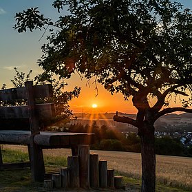 Natur & Stadt
