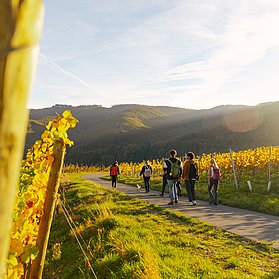 Weinherbst Mittelahr- Wanderer
