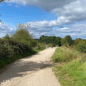 Wanderweg auf dem Rodderberg