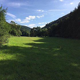 Ahrbrück Denntal