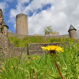 Burgruine Nürburg