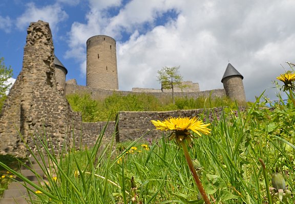 Burgruine Nürburg