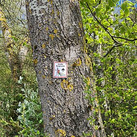 Wegeführung Große Burgrunde