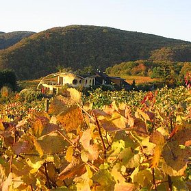 Herbstansicht