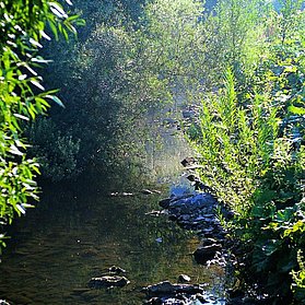 Partnerweg des Eifelsteiges: Eifeler Quellenpfad
