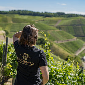 Ahrtal, Bad Neuenahr-Ahrweiler, Dagernova, Weinmanufaktur