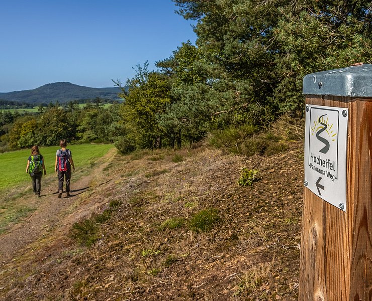 Hocheifel-Panorama-Weg_Blick auf den Aremberg