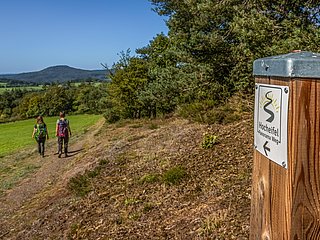 Hocheifel-Panorama-Weg_Blick auf den Aremberg