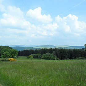 Blick von der Wershofener Höhe