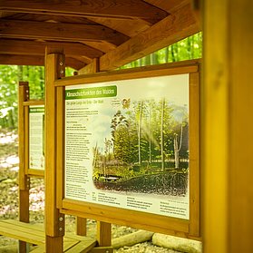 Waldentdeckerpfad Bad Neuenahr-Ahrweiler