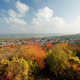 Feltenturm, Sinzig, AhrSteig, Ahrtal, Rheintal