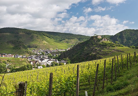 Saffenburg, AhrSteig, Wandern, Ahrtal