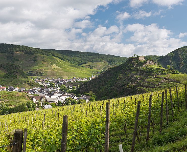 Saffenburg, AhrSteig, Wandern, Ahrtal