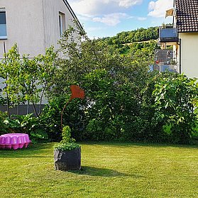 Garten 4