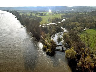 Rhein mit Ahrmündung