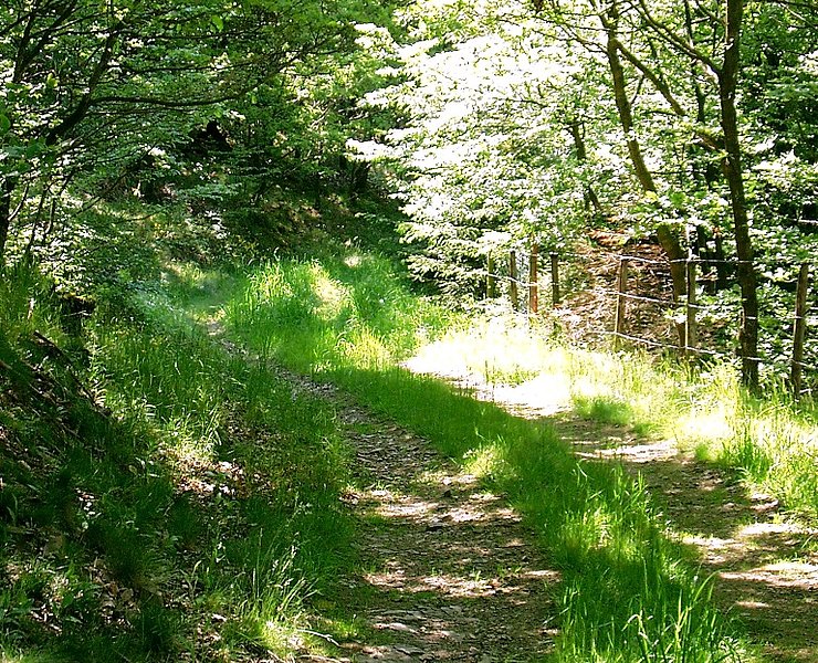 Durch Wald und Flur