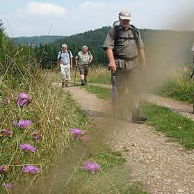 Partnerweg des Eifelsteiges: Eifeler Quellenpfad