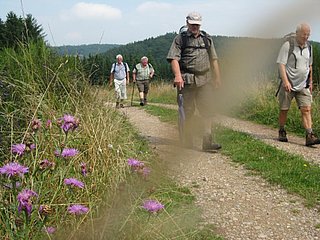 Partnerweg des Eifelsteiges: Eifeler Quellenpfad