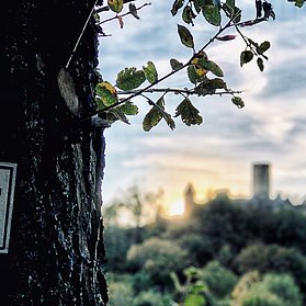 Blick auf die Nürburg